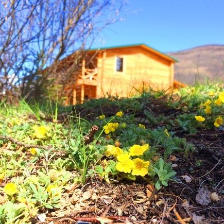 Гостевые домики, Отели 3*