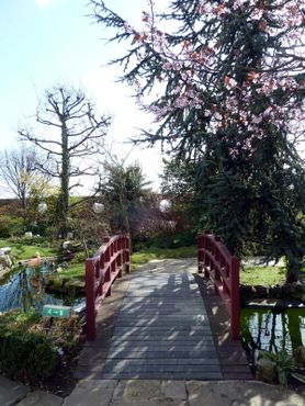 Кенсингтонские сады на крыше