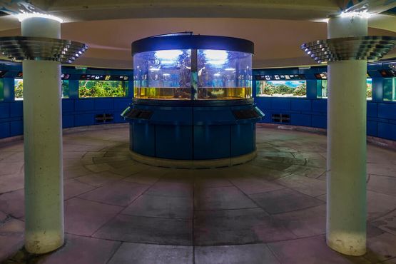 Морской аквариум под Пальмовым домом в садах Кью