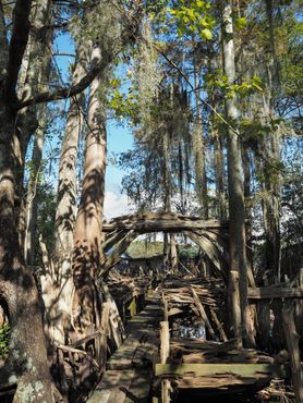 Семейный музей коряг Сайпресс-Суомп