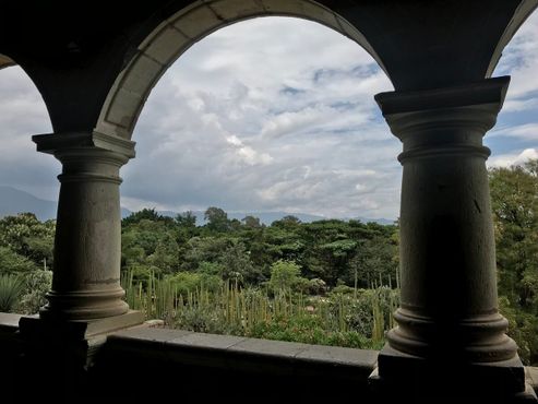 Вид на сад из монастыря Санто-Доминго