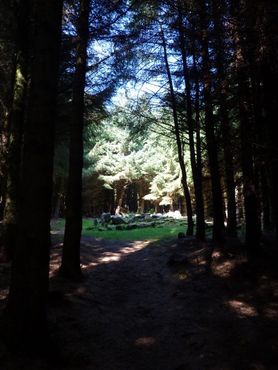 Клиновидная гробница Баллиедмондафф