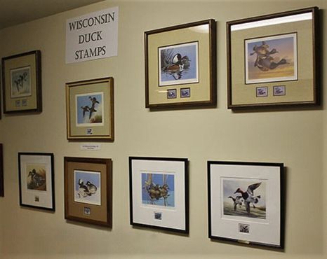 Заявки и художественная коллекция марок с утками