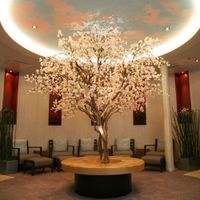 Allure of the Seas (30/39)