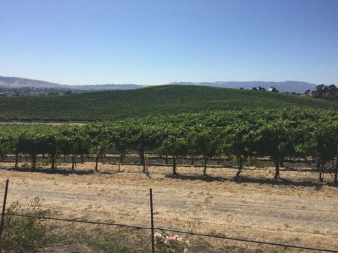 Холм в 2017 году