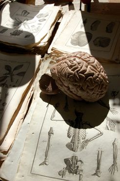 «Ариа Антикс»