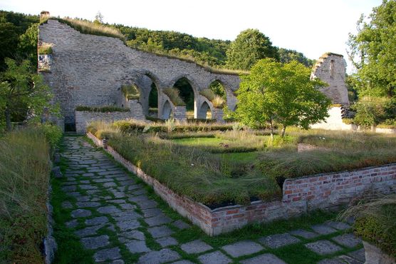 Руины монастыря Альвастра