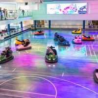 Anthem of the Seas (24/37)