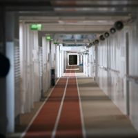 Allure of the Seas (22/39)