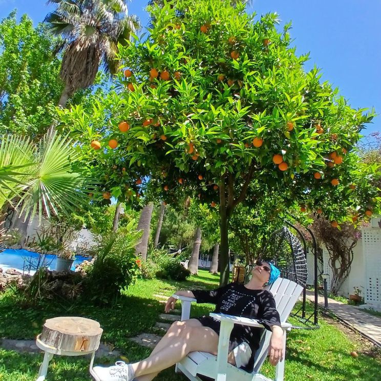 Гостевые домики, Бунгало