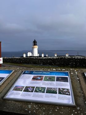 Маяк Даннет-Хед