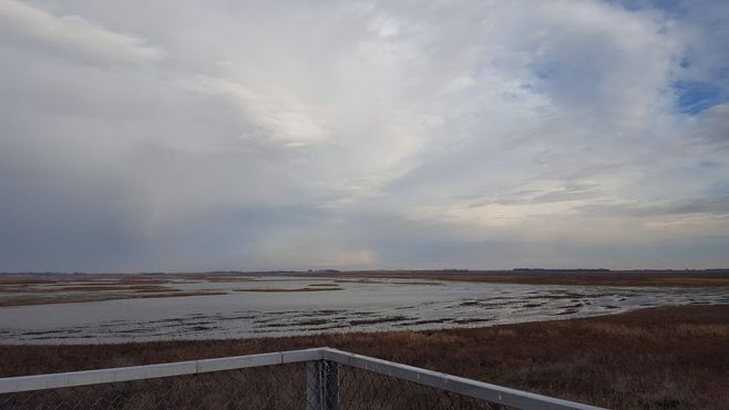 Шайеннская низина