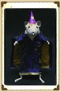 Волшебник-мышь от Джини М. 
