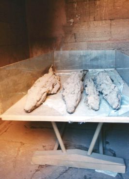 Ком-Омбо - мумифицированные крокодилы