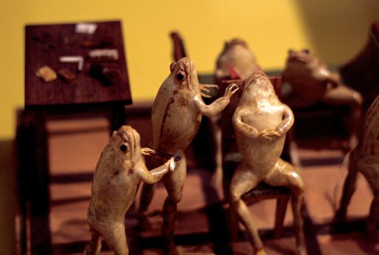 Музей лягушки