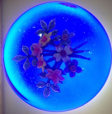 Коллекция пресс-папье Эванджелины Бергстром