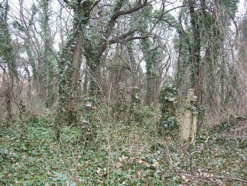 Старое кладбище Цинкоты