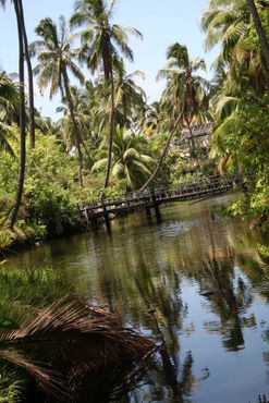 Отель «Коко-Палмс»