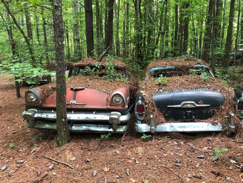 «Город старых машин», Джорджия, США