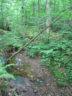 Тропа Роберта Фроста