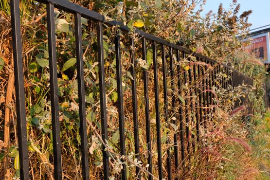 Общественный сад Большого Папочки