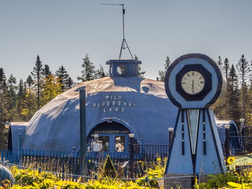 Край дикой голубики