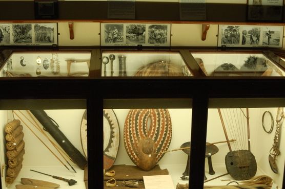 Одна из многочисленных витрин с этнографическими артефактами из Африки и экспедиционными фотографиями