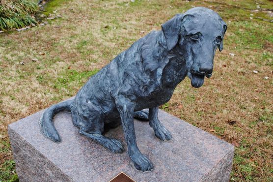 Национальный музей охотничьих собак