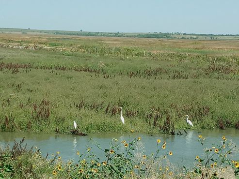 Шайеннская низина