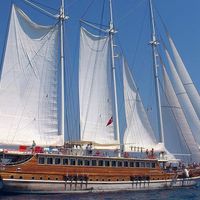 Гранд Адмирал (1/11)