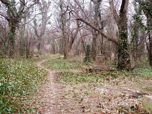 Старое кладбище Цинкоты