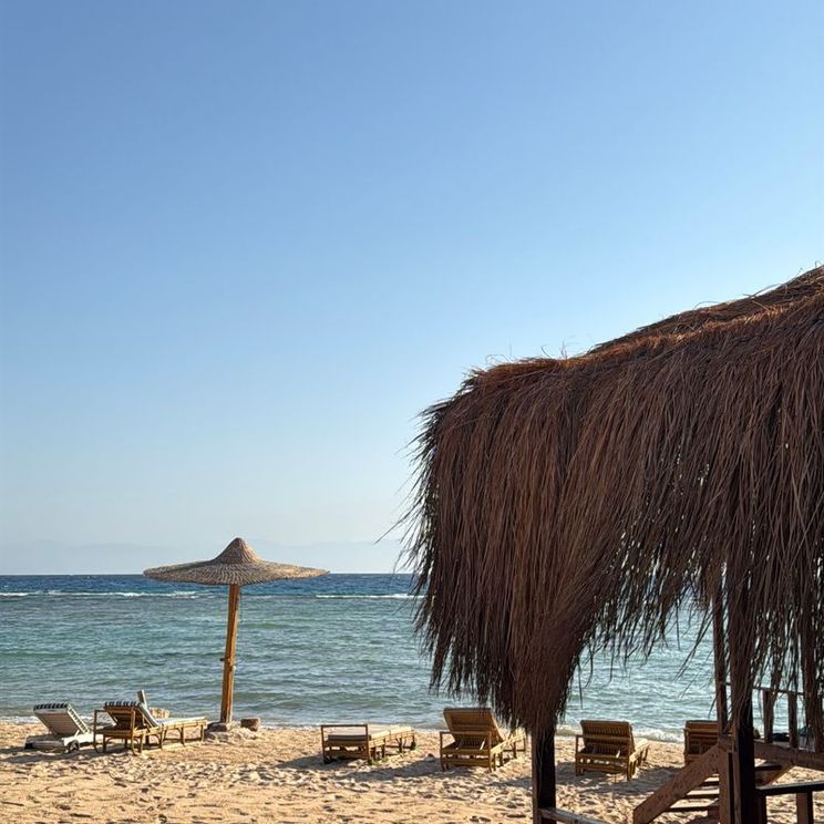 Апартаменты, Бунгало