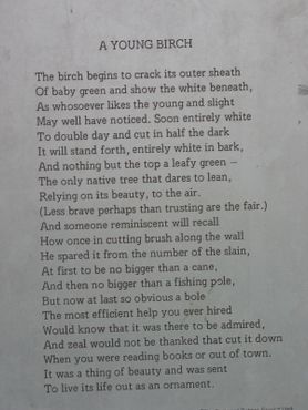 Тропа Роберта Фроста