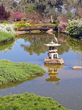 Цапля отдыхает на каменном фонаре в верхнем озере Японского сада Коура