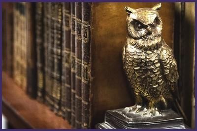 «Антикварные книги Адамса»