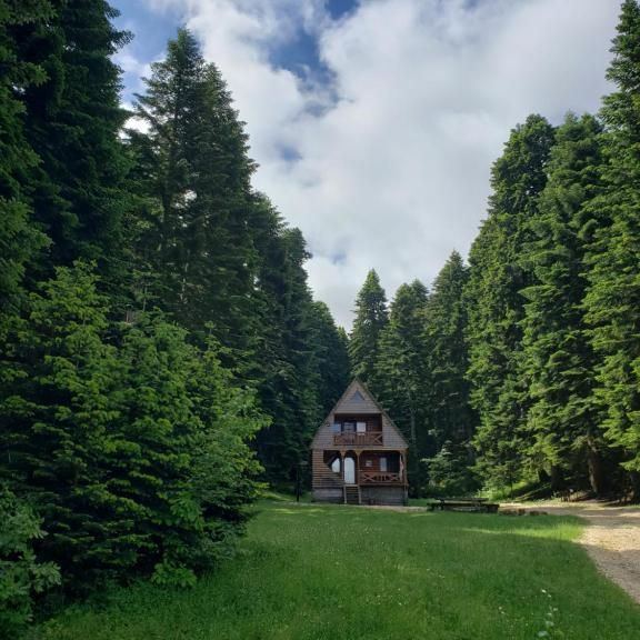 Отели 4*, Глэмпинги, Коттеджи