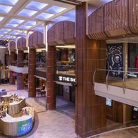 Odyssey of the Seas (24/33)