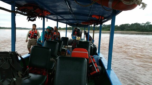 Маленькие пассажирские катера перевозят путешественников вверх по реке