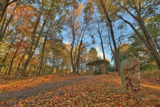 Осенний лес, усыпанный современными дольменами и монолитами