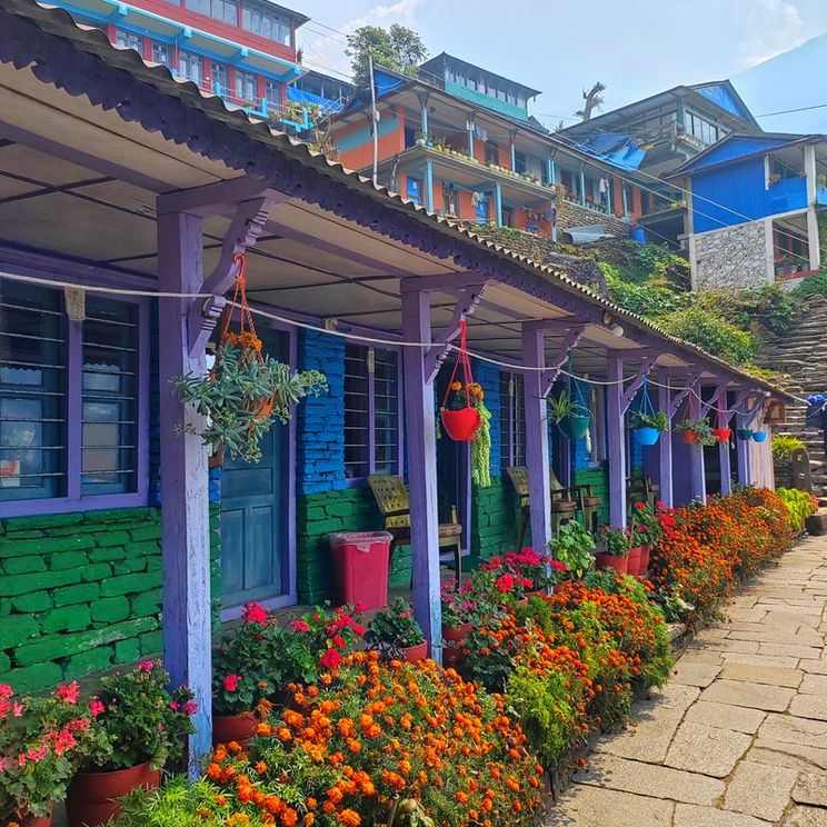 Гостиницы 3*, Лодж