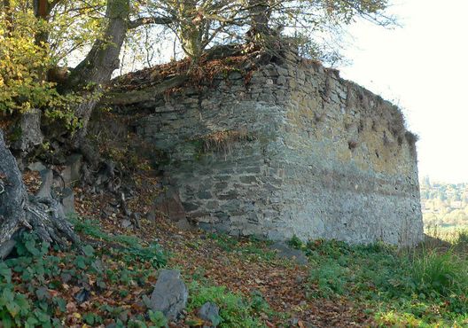 Руины замка Бринг
