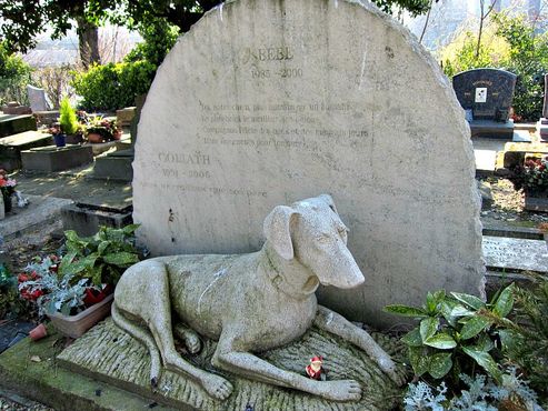 Кладбище собак