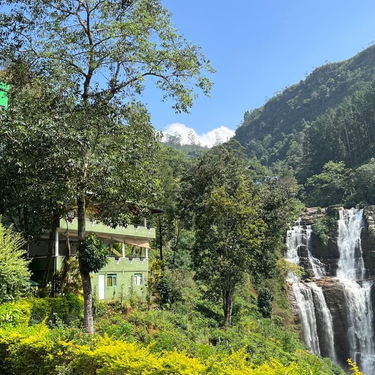 Гостиницы 4*, Бунгало