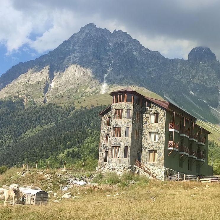 Гостевые домики