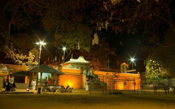 Джайя Шри Маха Бодхи ночью