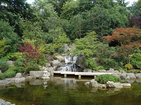 Пруд в саду Киото