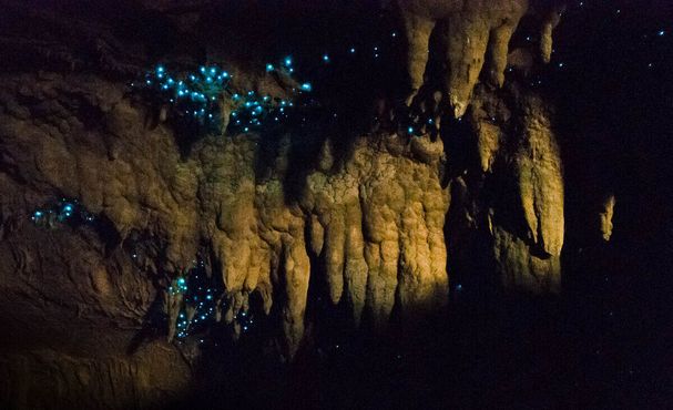 Светлячки в пещере Вайпу на Северном острове Новой Зеландии