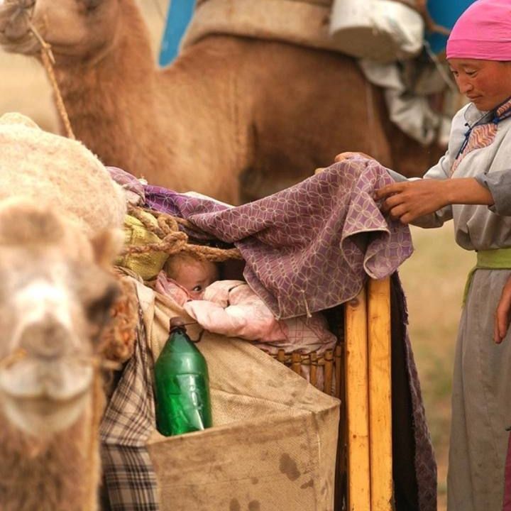 Кемпинги, Отели 3*, Юрты, Палатки