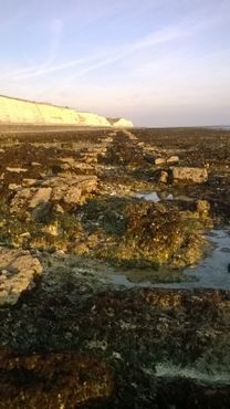 Бывшая Морская железная дорога