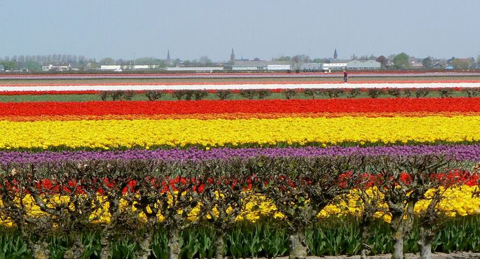 Парк Кёкенхоф